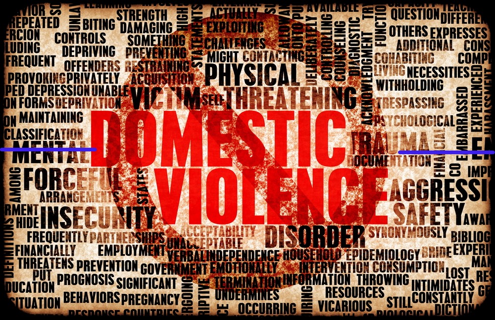 domestic violence housing law california